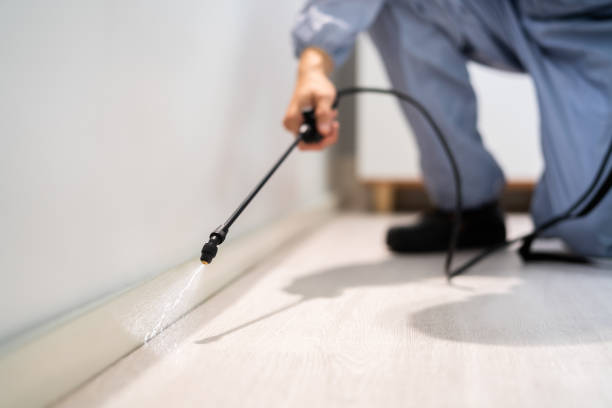 Licensed Pest Control service in California, CA - Show Me Pest Control