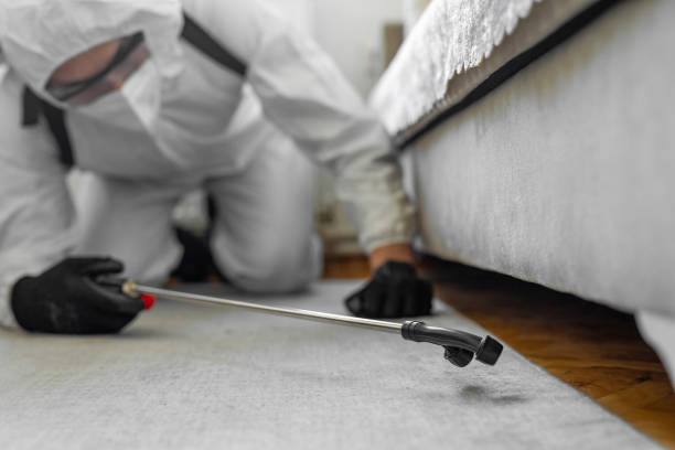 Professional Pest Control technician working in California, CA