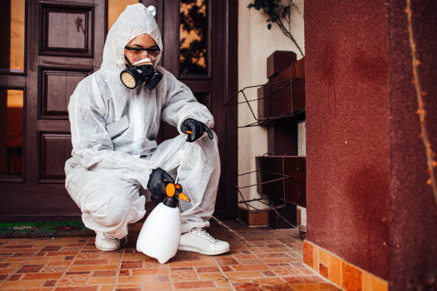 Reliable Pest Control contractor in California, CA by Show Me Pest Control
